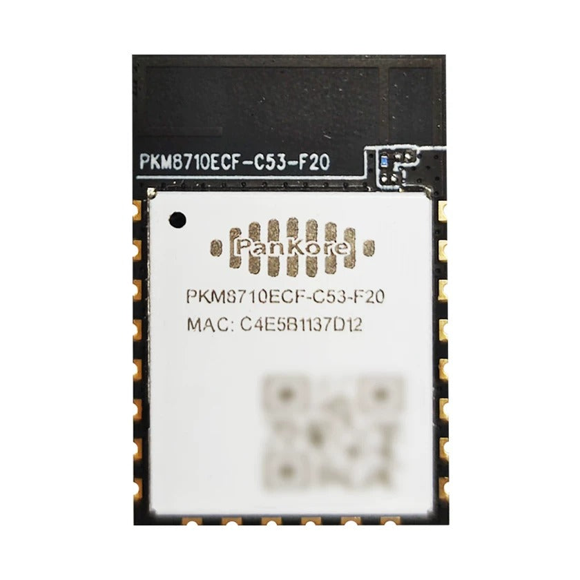 RTL8710ECF Wi Fi 6 and Bluetooth Low Energy (BLE) 5.2 Module – PKM8710ECF-C53-F20